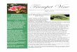 TV Fall 2009 - Loudoun County Master Gardeners · 2009-09-12 · .75 Trumpet Vine Knowledge for the Community from Loudoun County Master Gardeners Fall 2009 Volume V, Issue 4 LOUDOUN