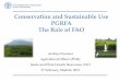 Conservation and Sustainable Use PGRFA The Role of FAO · 2019-03-06 · Second Global Plan of Action for Plant Genetic Resources for Food and Agriculture ... policies and programmes