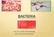 Bacteria - KSUfac.ksu.edu.sa/sites/default/files/311-bacteria-student.pdf · 2015-03-01 · Bacteria size & shape ( Morphology + arrangement) Reproduction Classification Structure