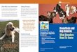 Brucellosis and Dog Kennels - USDA-APHIS · 2016-08-24 · Brucellosis and Dog Kennels: What Breeders Need To Know USDA, Mike Tuck USDA, R. Anson Eaglin Remember: it’s up to you