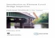 Introduction to Element Level Bridge Inspection...Introduction to Element Level Bridge Inspection September 2013 Lesson 1 - Welcome and Introductions 4 Course Learning Outcomes B