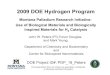 2009 DOE Hydrogen Program2. Determine basis of hydrogenase stability 3. Improve conductivity, mass transfer, and hydrogen production in gels 4. Biomimetic hydrogen production catalyst
