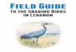 Field Guide - United Nations Development Programme and...Binoculars 25 ii. Field guide 26 • Using the Field Guide 26 • Step by Step through the SB Field guide 28 • The Bird ID