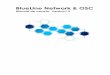 BlueLine Network & OSC€¦ · 2. Modelo OSI Capa Física La capa física del modelo OSI describe las características del medio a través del cual se transmiten los paquetes dentro
