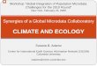 CLIMATE AND ECOLOGY - CIESINciesin.columbia.edu/documents/adamo_ipums_workshop08-1.pdf · CLIMATE AND ECOLOGY Workshop “Global Integration of Population Microdata: Challenges for
