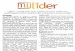 LIDER Linked Data as an enabler of cross-media and ... · PDF file LIDER – Linked Data as an enabler of cross-media and multilingual content analytics for enterprises across Europe