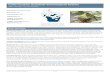 Acadian Flycatcher (Empidonax virescens) Species · PDF file Acadian Flycatcher Species Guidance 3 of 7 PUB ER-685 (last updated October 8, 2018) Habitat: The Acadian Flycatcher has