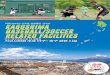 가고시마현 주요 야구· 축구 관련 시설 ·  넥센 히어로즈(마무리 캠프), 사회인, 대학 야구, 여자 실업 소프트볼 팀 (스프링캠프)