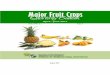 Fruits Quarterly Bulletin 2ndQtr2012 pdf (1).pdf · The Major Fruit Crops Quarterly Bulletin provides statistical updates on production, area and bearing trees statistics of four