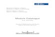 Module eng MetPhys 200318 - Leibniz Universität Hannover€¦ · Module Catalogue B.Sc./ M.Sc. Physics, Meteorology Leibniz University Hannover 1 Contact Dean of Studies Office,