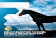 EQUINE ELECTRIC FENCING, GATES & WEIGH … BROCHURE PEL...EQUINE ELECTRIC FENCING, GATES & WEIGH SYSTEMS CONNECTING YOU AND YOUR LAND PEL has spent over 40 years making electric fencing