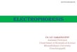 Electrophoresis - Bharathidasan •General principle •Factors affecting Electrophoresis •Types of Electrophoresis •Gel Electrophoresis •Applications •Electrophoresis: Differential