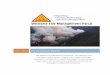 FY13 Annual Report - Wildland Fire Management RD&A · 12/1/2013 FY13 Annual Report The Wildland Fire Management Research, Development, and Application (WFM RD&A) Program was created
