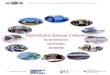 Manual - europrojects 170910library.fes.de/pdf-files/bueros/sofia/07774.pdf · 2 СЪДЪРЖАНИЕ Въведение i ... при идентифициране на проектната
