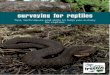 surveying for reptiles - Froglife...1 ‘Surveying for Reptiles’ is a handy guide which summarises key ID features of common reptile species, and provides you with important tips,