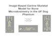 Image-Based Canine Skeletal Model for Bone Microdosimetry ...cancermeetings.org/.../Conc4/Session1/Padilla.pdf · Image-Based Canine Skeletal Model for Bone Microdosimetry in the