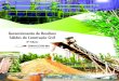 GERENCIAMENTO DE RESÍDUOS - Sinduscon-MG · 2 Gerenciamento de Resíduos Sólidos da Construção Civil Comissão de Meio Ambiente do SINDUSCON-MG e Parceiros Publicação elaborada