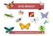 BUG BINGO! - Edible Schoolyard · Bug Bingo was created to go along with the Bug Hunt Scavenger Cards. Instructions: 1. If you haven’t already, download and print a copy of the