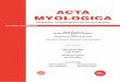 ACTA MYOLOGICA · Acta Myologica • 2017; XXXVI: p. 191-198 191 A o copoc: lia Vittoatto Malatti ocolai to aolo iolo A itt lla alt lla cia oio Italia. -ail: lia.ittoattoito.it Intrafibral