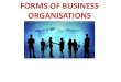 FORMS OF BUSINESS ORGANISATIONS - WordPress.com · 2018-05-05 · FORMS OF BUSINESS ORGANISATIONS. WHAT IS A BUSINESS ORGANISATION? The term "business organization" refers to how