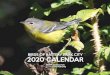BIRDS OF BATTERY PARK CITY 2020 CALENDAR · Children’s Gardening, Birdwatching Club, and Migration Club. To find out more, email info@bpca.ny.gov. BPC’s other celebrated migratory