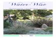 Water-Wise - IEUA...with installing a water wise landscape in the arid Inland Empire region of California. Plants highlighted in this guide use moderate to low amounts of water and