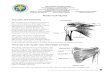 Rotator Cuff Injuries - American Academy of Orthopaedic ...orthodoc.aaos.org/LeClere/LeClere Rotator Cuff.pdf · Developed by Alex Petruska, DPT and the Massachusetts General Hospital