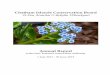 Chatham Islands Conservation Board Te Pou Atawhai O Rekohu ...€¦ · Chatham Islands Conservation Board Te Pou Atawhai O Rekohu Wharekauri Annual Report 1 July 2017 ... storms that