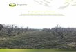Ecologische quickscan · productie van houtige biomassa en die: o ten minste eens per tien jaar worden geoogst; o bestaan uit minstens tienduizend stoven per hectare per beplantingseenheid
