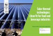CASE Solar thermal - dtnac4dfluyw8.cloudfront.net€¦ · The South African solar thermal industry While a local solar thermal industry exists, much of its application is in the domestic
