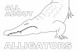 All About Alligators coloring bookAdult male alligators can weigh more than 1,000 pounds and grow as long as 14 feet. Never approach or feed an alligator. 4500.00 FiNe Feeding alligators
