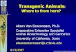 Transgenic Animals · transgenic technology will be mainly directed towards increase in basic biological knowledge, particularly in the field of gene regulation and expression”