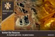 Northern Star Resources An Australian gold miner...Northern Star Resources An Australian gold miner – for global investors September 2014 Disclaimer 2 Competent Persons Statements