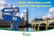 Brexit: What does it really mean for Irish Agriculture? · Brexit A. Withdrawal Agreement B. Political Declaration on Future Relationship A. Now with Joint Interpretative Text •Three