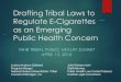 Drafting Tribal Laws to Regulate E-Cigarettes as an ... Tribal Laws to... · cigarettes, cigarette tobacco, roll-your-own tobacco, and smokeless tobacco and to any other tobacco products