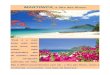 MARTINICA, a ilha das flores - AvenTOURas · 2017-06-21 · MARTINICA, a ilha das flores “Esta é a mais linda, mais fértil, mais doce, mais calma, mais encantadora ilha do mundo”,
