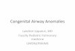 Congenital Airway Anomaliesrwjms.umdnj.edu/.../CongenitalAirwayAnomaliestalk.pdf · Congenital Airway Anomalies Lakshmi Uppaluri, MD Faculty Pediatric Pulmonary medicine UMDNJ/RWJMS