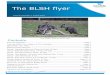 The BLSH flyer - BirdLife · The BLSH flyer Volume 8 Number 3, August 2019 Contents ... Members’ Bird Photography ..... Page 19-22. August 2019 2 From the President Christine Kelly