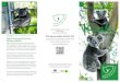 Koala · A full list of koala food trees is available on the Friends of the Koala website – The trees koalas prefer to eat and use for shelter depend on the particular area and