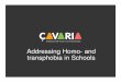 Addressing Homo- and transphobia in Schools · 2015-02-16 · School systems - What is the reality in your own area? Pro’s ... schools in your disctrict/country? And when do you