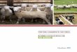 Portrait-diagnostic sectoriel de l'industrie ovine au …...Tableau 1 : Évolution de la consommation de viande ovine par personne au Canada, de 2007 à 2017 Note : La viande rouge