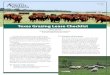 Texas Grazing Lease Checklist - Texas A&M AgriLife ...counties.agrilife.org/denton/files/2013/08/Texas... · Texas Grazing Lease Checklist ... care for the livestock, particularly