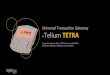 Universal Transaction Gateway Telium TETRAUniversal Transaction Gateway + Telium TETRA Support for Ingenico Telium TETRA devices with Shift4’s Universal Transaction Gateway is now