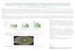 In-vitro efﬁcacy of carbapenem-loaded calcium sulfate ... · against a series of carbapenem-resistant enterobacteriacae Davis LS, Delury CP, Laycock PA Biocomposites Ltd, Keele