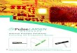 Internal Flexible Solutions Covering All Frequency Bands€¦ · YOUR INTRODUCTION TO PULSELARSEN INTERNAL FLEXIBLE SOLUTIONS. Internal Flexible Solutions Covering All Frequency Bands