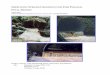 S CROSSINGS FOR FISH PASSAGE - fs.fed.us · Improving Fish Passage at Stream Crossings – Final Report i EXECUTIVE SUMMARY As anadromous fish swim to headwater streams to spawn,
