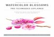 SkillShare Class by Anna Bucciarelli WATERCOLOR BLOSSOMS...SkillShare Class by Anna Bucciarelli WATERCOLOR BLOSSOMS PRO TECHNIQUES EXPLAINED SUPPLIES AND COLOR PALETTE ... Hot or cold
