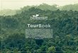 TourBook - The Retreat Costa Rica€¦ · TourBook. NATURE HIKE Supercharge your energy ... where the tractor will guide you through the wildlife and farm animals. The 15-person boat