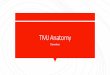 TMJ Anatomy - Jagiellonian University Medical College · TMJ The temporomandibular joint (TMJ) or jaw joint is a bi- arthroidal hinge joint that allows the complex movements necessary