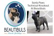 Santa Paws Technical Knockout At Beautibuls · 2018-04-21 · santa paws technical knockout at beautibuls french bulldog arol jane m sotack oaulokke's chef zara n off v. nhs* 2521681
